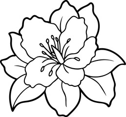 Azalea flower black outline vector and illustration, coloring book page
