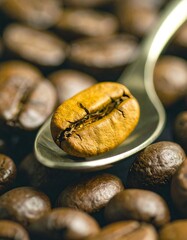 coffee beans and a spoon of roasted arabica