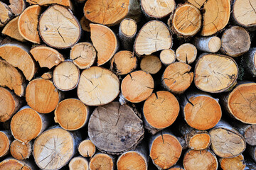 stack of firewood