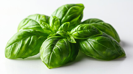 Fototapeta premium Fresh basil leaves arranged attractively on a white background showcasing their vibrant color and texture