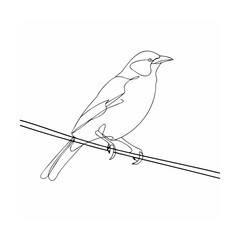 Single Line Art Bird Perched on Wire Black and White Minimalist Drawing
