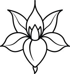 Fuchsia flower head black line drawing vector illustration