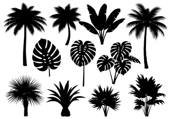 Vector collection of tropical plant silhouettes isolated on white background