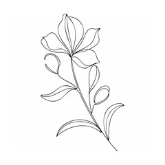 Black Line Art Single Lily Flower Botanical Drawing