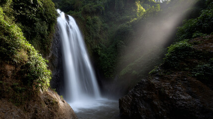 Fototapeta premium Beautiful waterfall in jungle.