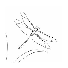 Black Line Art Dragonfly on White Background Simple Nature Sketch