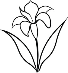 Iris flower black line drawing vector illustration