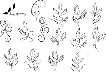 Elegant Black and White Floral and Swirl Design Elements