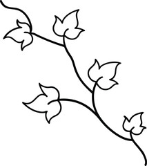 Ivy vine black line drawing vector illustration