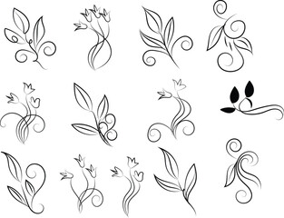 Elegant Floral and Leaf Design Elements in Black and White