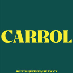 Unique decorative alphabet display font vector illustration