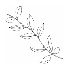 Black Line Art Branch with Elongated Leaves and Berries