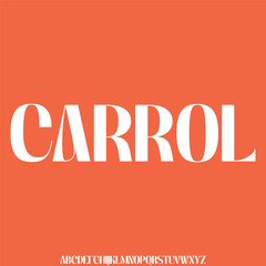 Unique decorative alphabet display font vector illustration