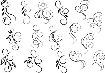 Elegant Black Flourishes and Swirls on White Background for Design