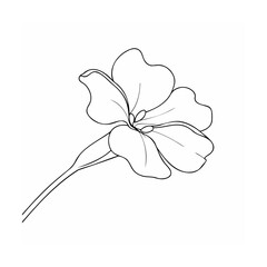 Single Line Art Flower Black White Simple Blossom Stem
