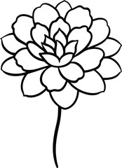 Marigold flower head black line drawing vector illustration