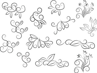 Elegant Floral Swirls and Flourishes in Black and White