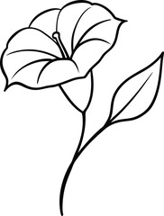 Morning glory flower black line drawing vector illustration