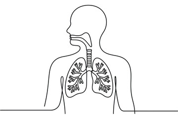 Human respiratory system single line drawing