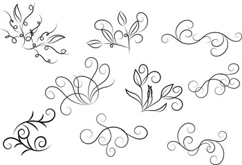 Elegant Floral Swirls and Flourishes in Black and White