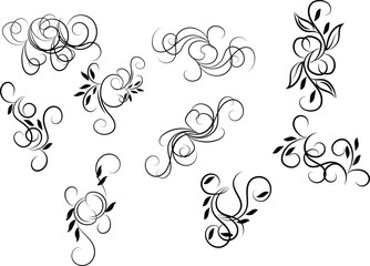 Elegant Flourish Designs with Leaves and Swirls on White Background