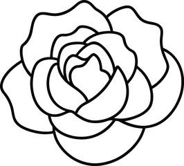 Peony bloom black line drawing vector illustration