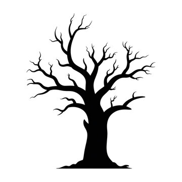 an cient tree silhouette isolated on a transparent background