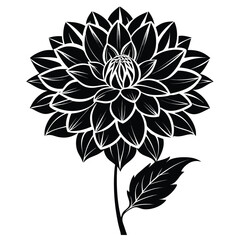 Dahlia flower silhouette vector – detailed black floral line art on white background