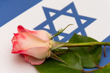 Composition with rose and flag of Israel - symbolic photo for themes related to nationhood,...