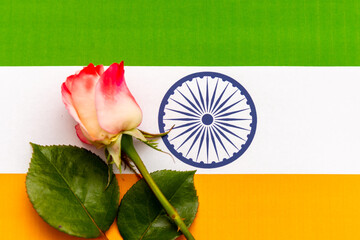 A fresh rose on the background of the Indian flag with Ashoka chakra is a symbol of beauty, tradition and peace.