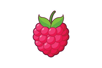 fresh raspberry fruit line vector illustration