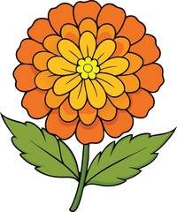 A detailed, stylized illustration of a marigold flower.