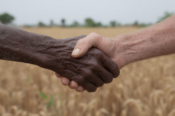 Two people shaking hands in wheat field, symbolizing unity