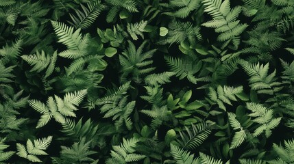 Fototapeta premium Lush green fern leaves. Layered tropical foliage pattern in a dark background. Calm nature mood for sustainable branding. Use for web banners, posters, and eco packaging.