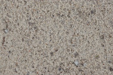 Close-up of Sandy Surface with Pebbles and Organic Debris
Sandy terrain captured in detail for use...