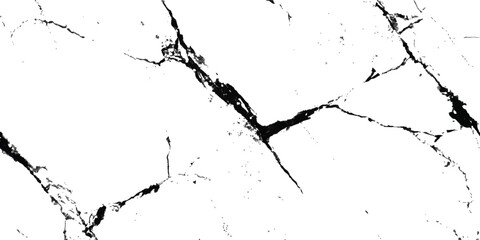 Texture soil dry crack sketch crack texture isolated on white background. Ground cracks background. Crack concrete white wall or Cement wall background, 