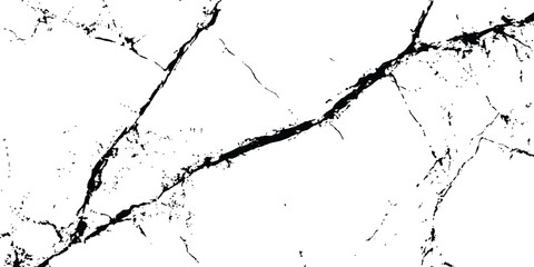 Texture soil dry crack sketch crack texture isolated on white background. Ground cracks background. Crack concrete white wall or Cement wall background, 