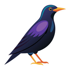  bird vector illustration