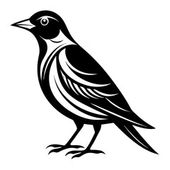 bird vector illustration