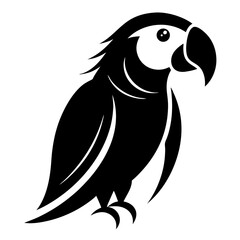  bird vector illustration