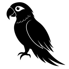  bird vector illustration