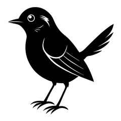  bird vector illustration