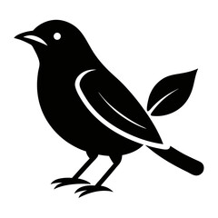  bird vector illustration