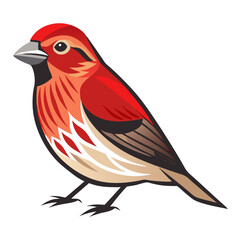  bird vector illustration