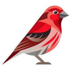  bird vector illustration