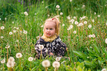 Little child girl is a three-year-old in a beautiful field of dandelions