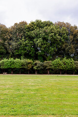 Visitors walk along the main path of the Royal Palace of Caserta’s expansive gardens, framed by mountains and manicured lawns under a bright sky
