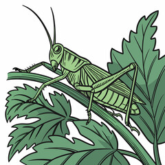 vector illustration of a grasshopper