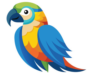 blue and yellow macaw ara ararauna