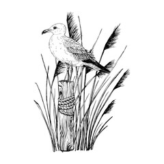 Seagull perched on a weathered wooden post wrapped in rope, surrounded by tall coastal grasses. Hand drawn vector illustration captures a peaceful maritime scene. Graphic sketch in line art style